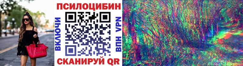 Псилоцибиновые грибы GOLDEN TEACHER  купить   blacksprut маркетплейс  Советск 